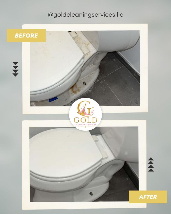 Before and after: toilet deep clean
